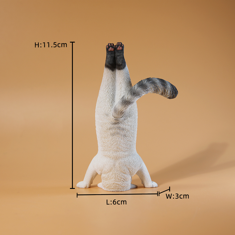 1/6 Schaal Mini Gesimuleerde F - Yoga In Fitness First recensie en prijs