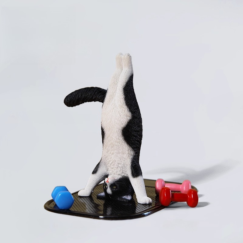 1/6 Schaal Mini Gesimuleerde F - Yoga In Fitness First recensie en prijs